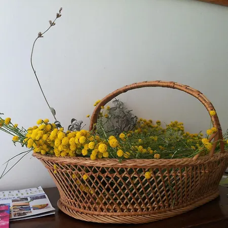 Apartamento El Salat, Rurales