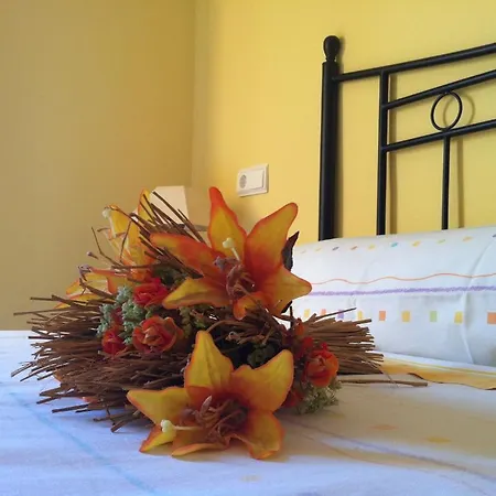 Apartamento El Salat, Rurales *