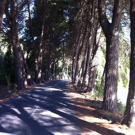 El Salat, Rurales